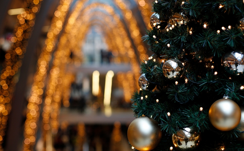 Ретейлеры рассказали о подорожании новогодних елок