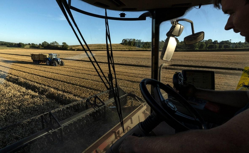 Reuters рассказал о новой угрозе сельскому хозяйству на Украине