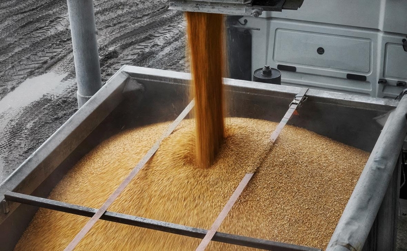 Reuters узнал о переговорах всех сторон по зерновой сделке