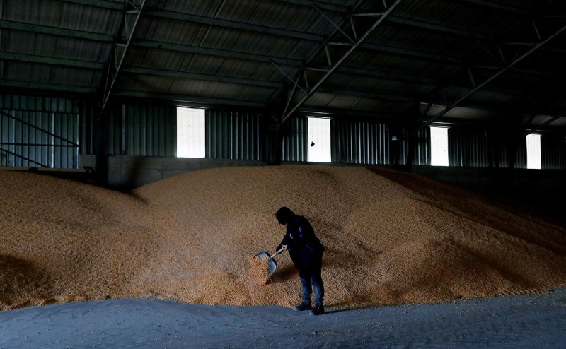 Reuters узнал о взаимовыгодном предложении ООН к Москве и Киеву по