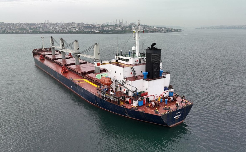 Reuters узнал условия Киева для транзита российского аммиака