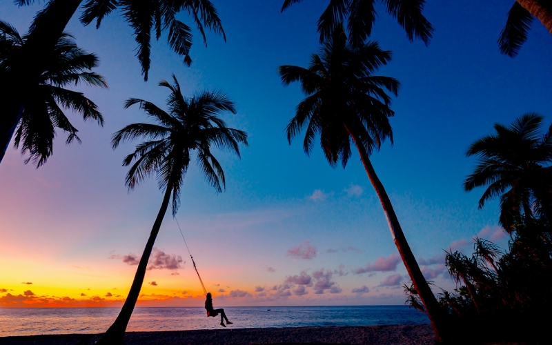 Рядом с убитым лосем нашли ружье и охотничий билет на имя Рашкина