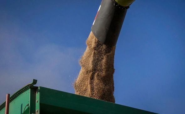 РКН назвал причину включения сообщества Steam в реестр запрещенных