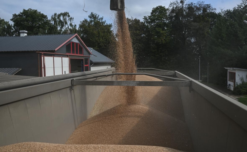 RMF узнало о готовности ЕК ограничить импорт зерна из России и