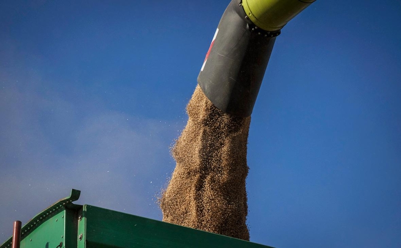 RMF узнало о готовности ЕС к санкциям против Польши из-за зерна с