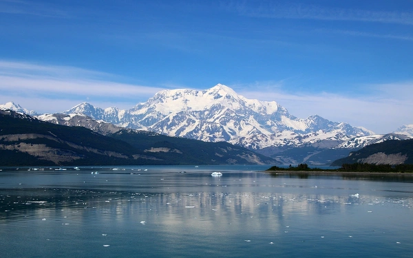 Рогов сообщил о зачистке Нью-Йорка российскими войсками