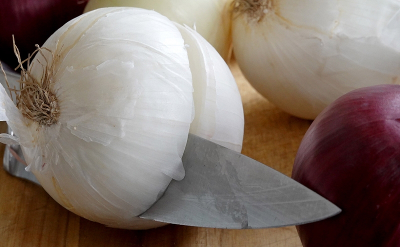 Роскомнадзор разблокировал сайт Tor