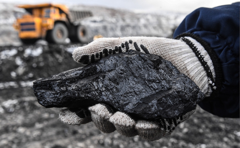 Роснедра выставят на торги месторождение угля после письма Путину