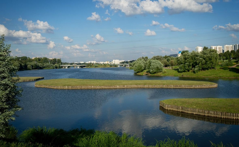 Роспотребнадзор не увидел риска для москвичей из-за птичьего гриппа