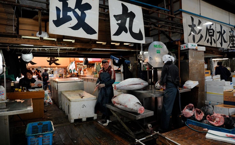 Росрыболовство обсудит смягчение моратория на вылов стерляди