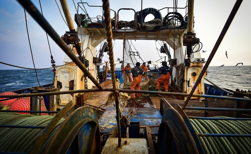 Росрыболовство поддержало идею пересмотреть рыболовные соглашения