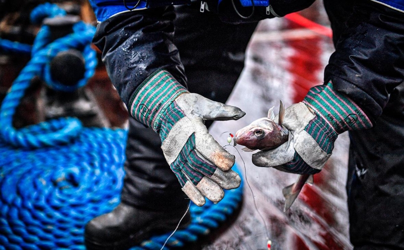 Росрыболовство поддержало идею пересмотреть рыболовные соглашения