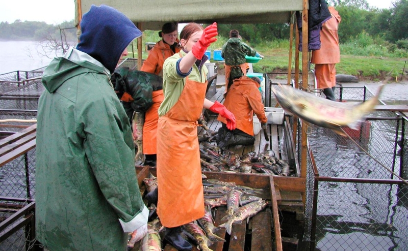 Росрыболовство поддержало идею пересмотреть рыболовные соглашения