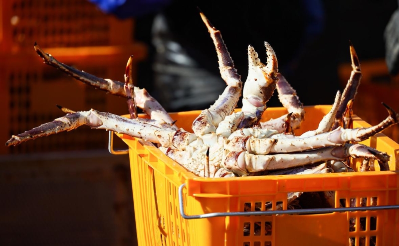 Росрыболовство поддержало отмену квот на глубоководных крабов
