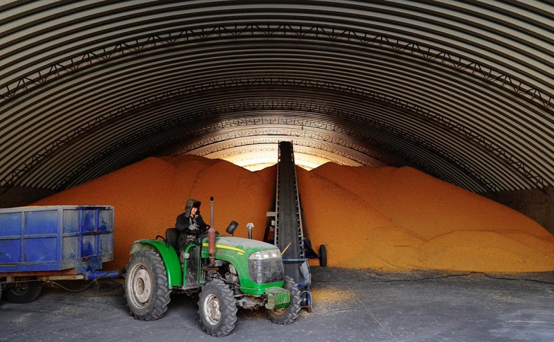 России ограничили доступ ко Всемирной продовольственной программе ООН