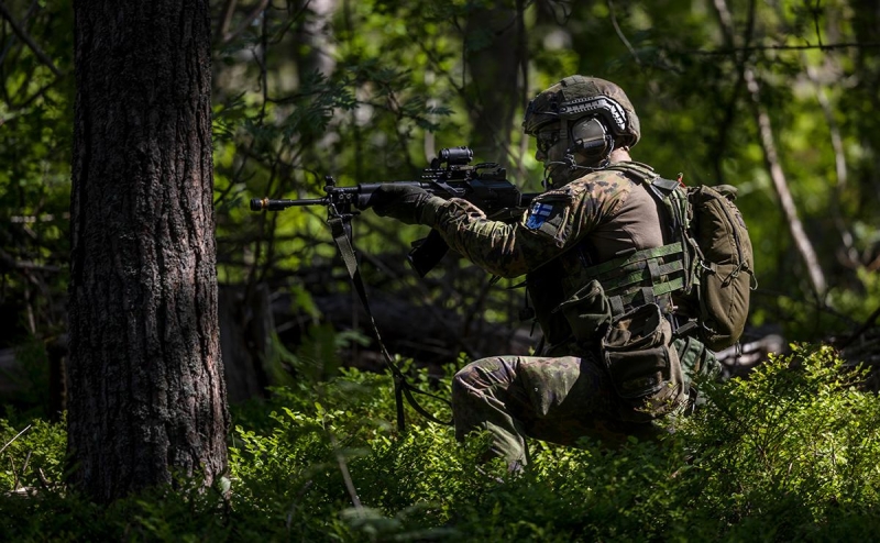 Россия и Финляндия прекратили совместные военные инспекции