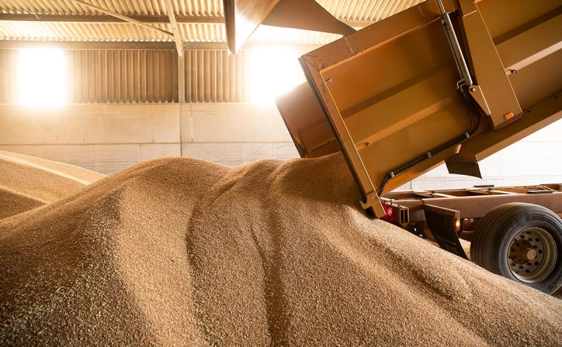 Россия и Турция договорились о поставке 1 млн т зерна