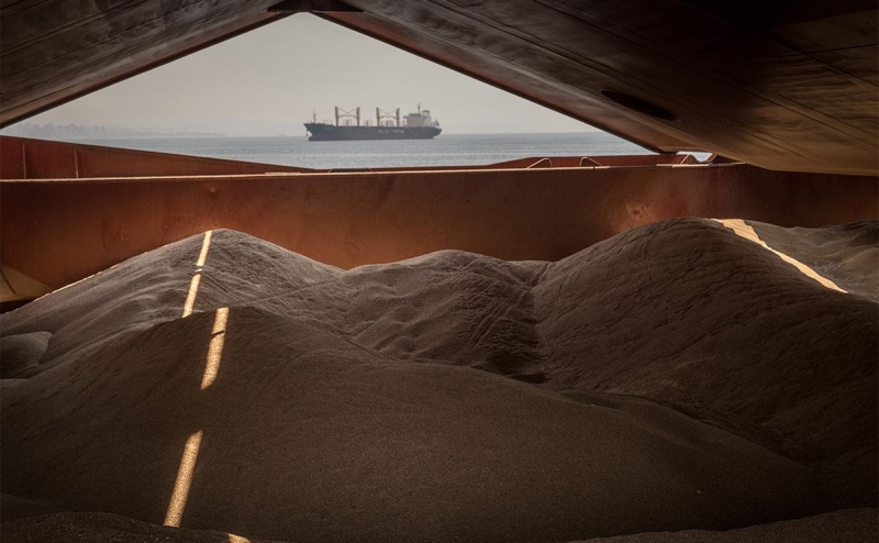 Россия и Турция договорились о поставке 1 млн т зерна