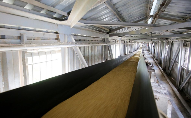 Россия ограничила вывоз твердой пшеницы до конца мая