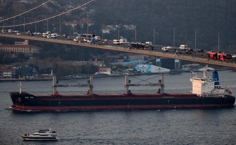 Россия ограничит регистрацию судов в рамках зерновой сделки