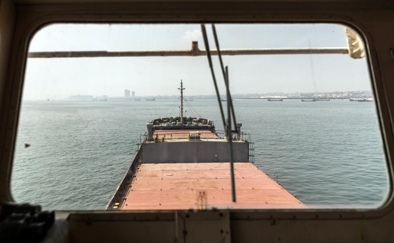 Россия ограничит регистрацию судов в рамках зерновой сделки