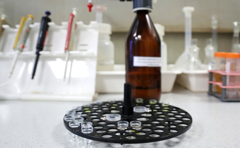 Россия передала ОЗХО ответ на запрос 45 стран по ситуации с Навальным