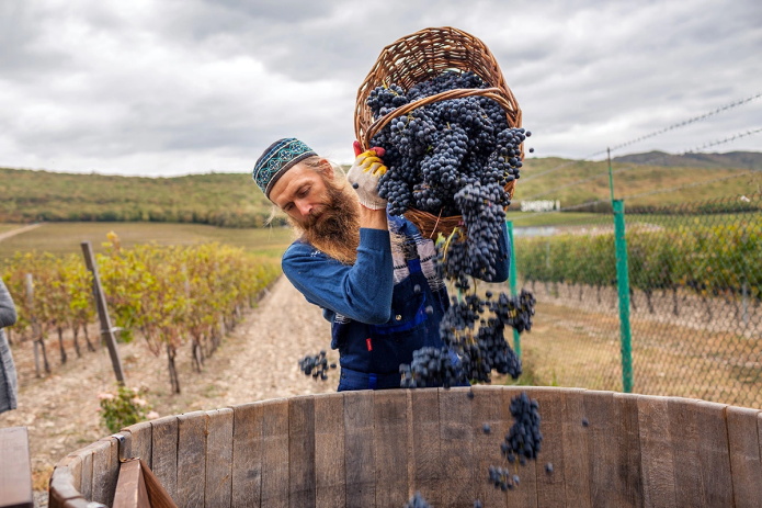 Россия поддержала правительство Боливии после попытки госпереворота