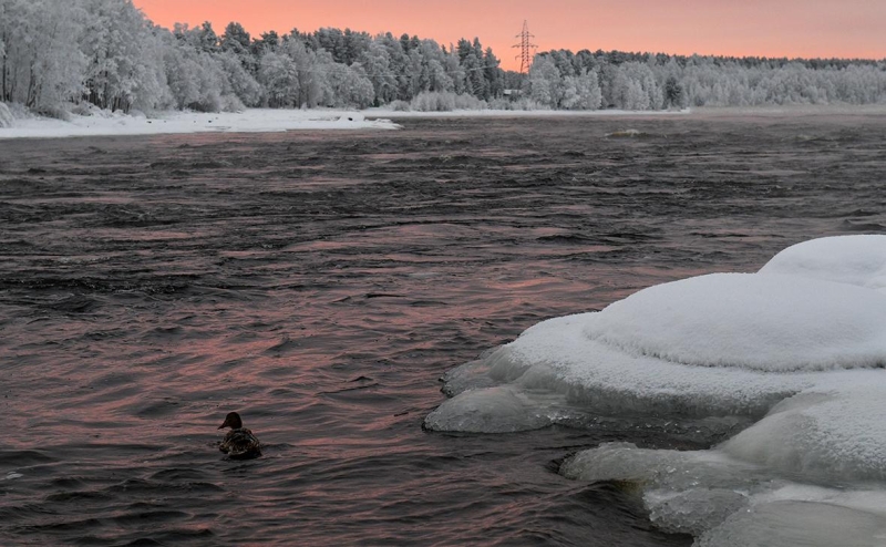 Россия прекратила 50-летнее соглашение с Финляндией по реке Вуокса