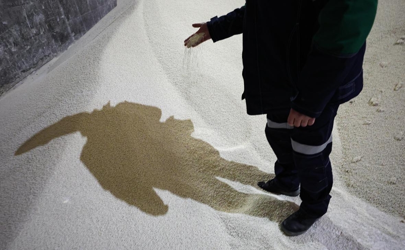 Россия стала поставлять больше товаров в Африку, чем в обе Америки