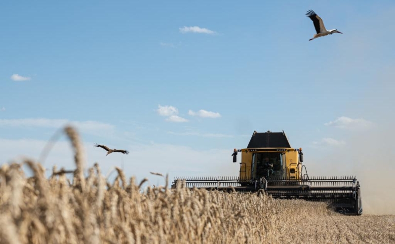 Россия вернулась в пятерку лидеров по экспорту зерна в Евросоюз