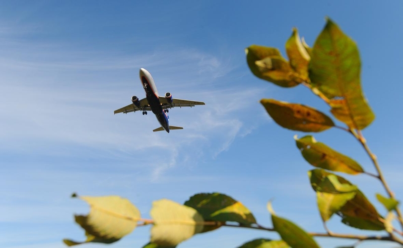 Россия возобновит авиасообщение с Грузией. Что важно знать
