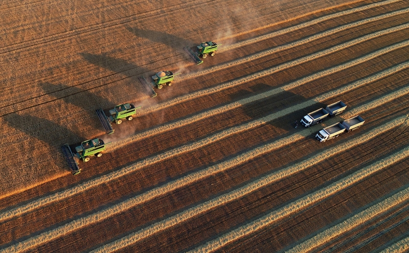 Россия временно запретит экспорт зерна и сахара