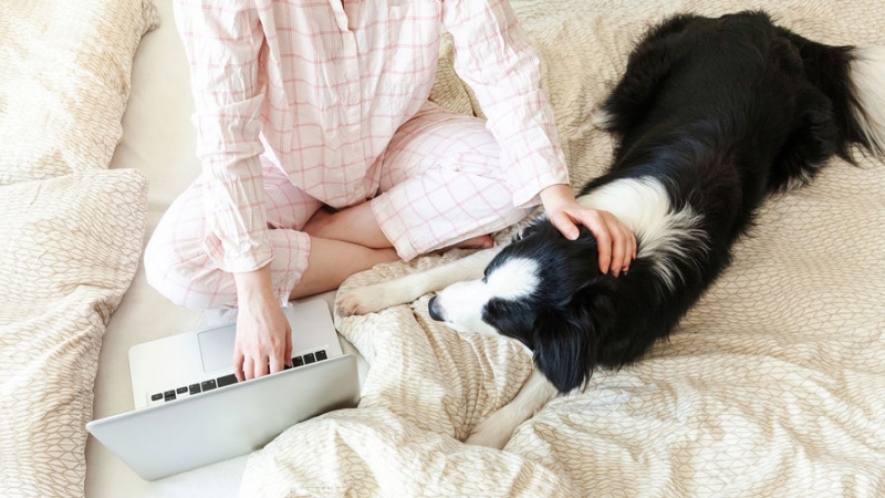 Россиянам напомнили о трехдневной рабочей неделе в феврале