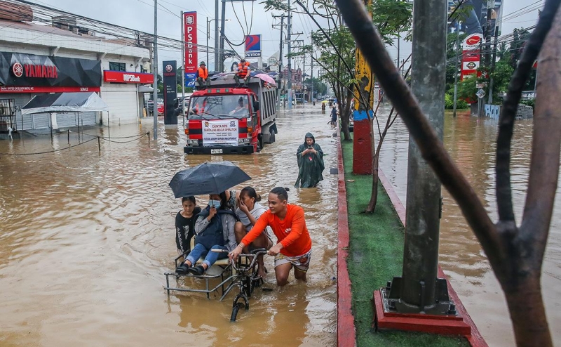 Россияне стали снимать стресс гребешками и кальмарами