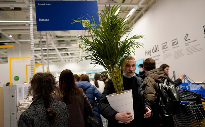 Российские магазины столкнулись с дефицитом игры «Монополия»