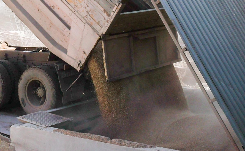 Российские сельхозпроизводители оценили потери из-за зерновой сделки