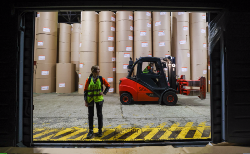 Российские заключенные сократили вырубку леса более чем на 30%