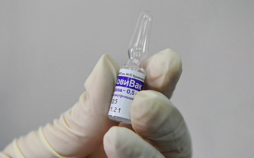 Российский регион сообщил о нарядах ДПС для проверки справок о вакцина