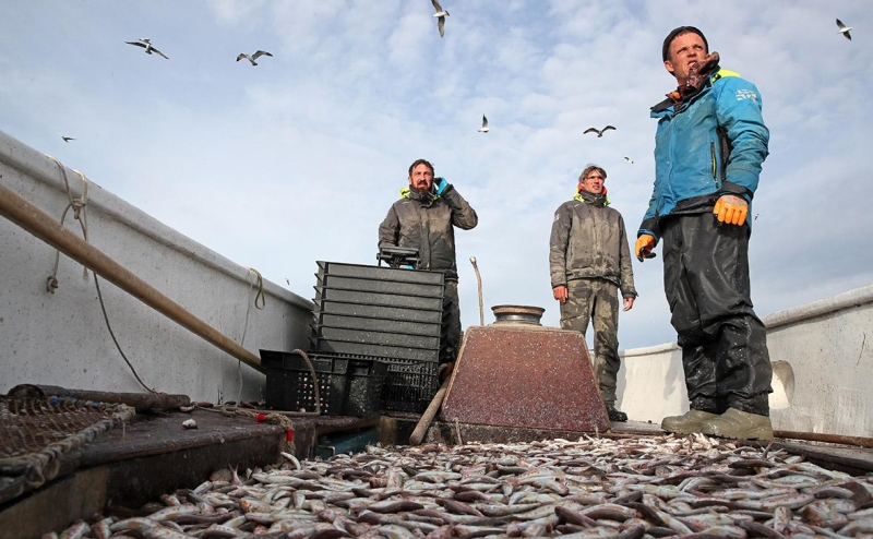 Росстат оценил, сколько российский бизнес заработал в санкционный год