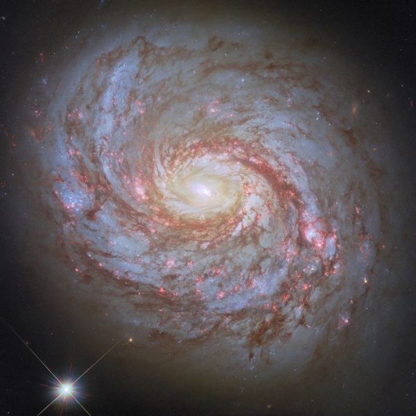 Рождение звезд и Кошачья Лапа. Reuters показал лучшие фото космоса &mdash;