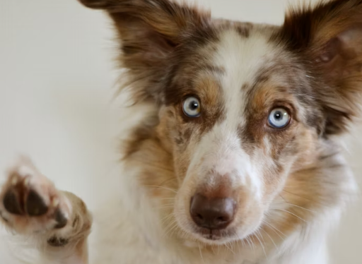 Рубио заявил о «праве голоса» России в мирном плане