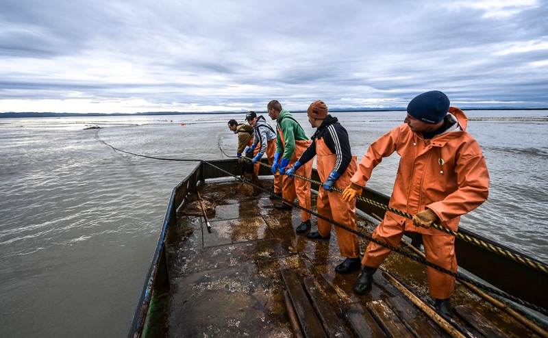 Рыбаки попросили не запрещать промысел по заключениям ФАС об