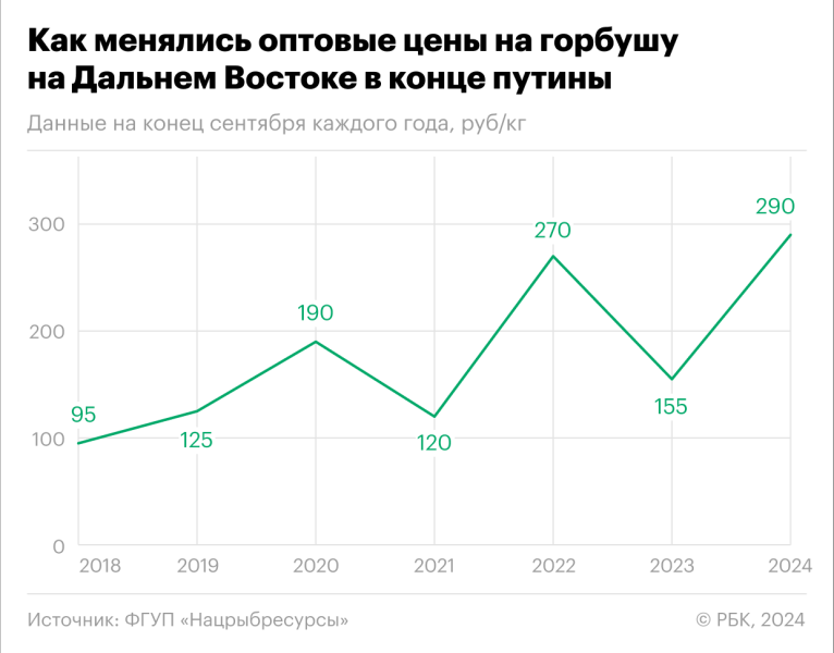 Рыбаки предупредили о минимальном вылове лососей за 20 лет