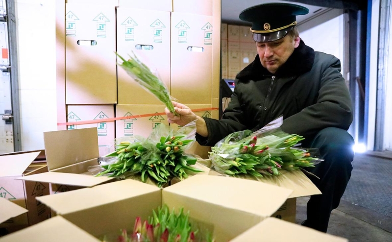 Рыбаки увидели риск срыва строительства судов из-за экспортных пошлин