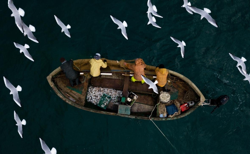 Рыбопромышленники сообщили о восстановлении промысла в Черном море