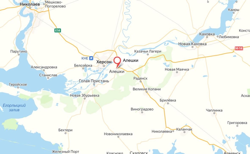 Сальдо сообщил о жертвах при ударе ВСУ по рынку в Алешках