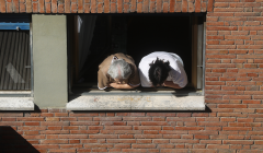 Саудовская Аравия отвергла критику решения ОПЕК+ со стороны США