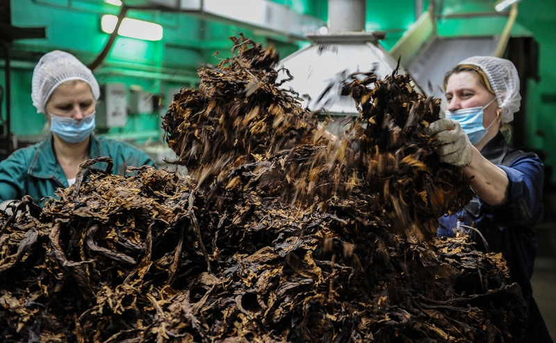 Счетная палата оценила потери бюджета от продажи нелегальных сигарет