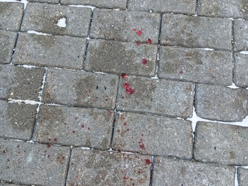 &laquo;Сейчас уже все прячутся&raquo;: репортаж РБК с улиц и из подвалов Белгорода