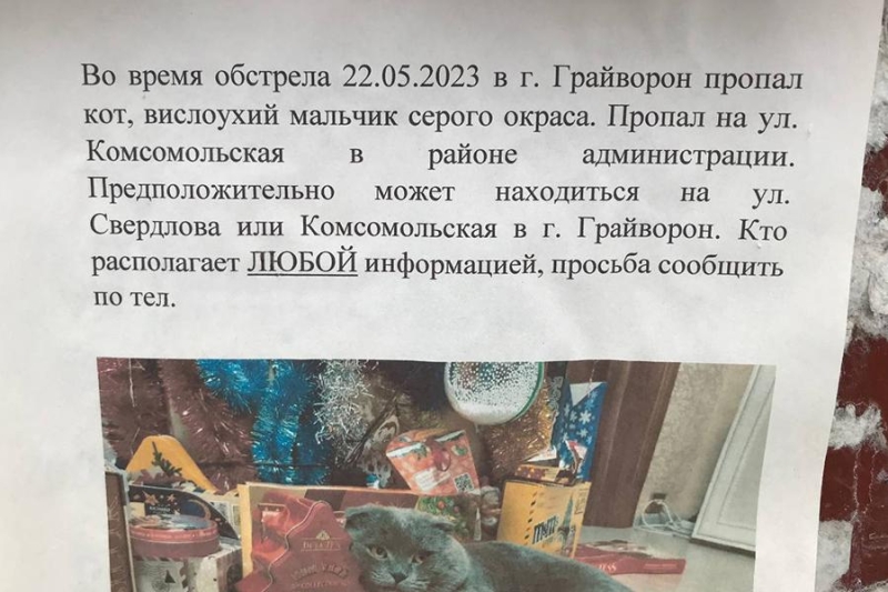 Село-призрак и снаряд в полу: как живет Грайворон после атаки